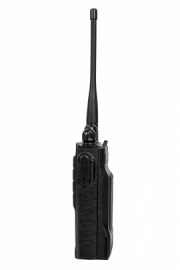 Lira DP-100 DMR